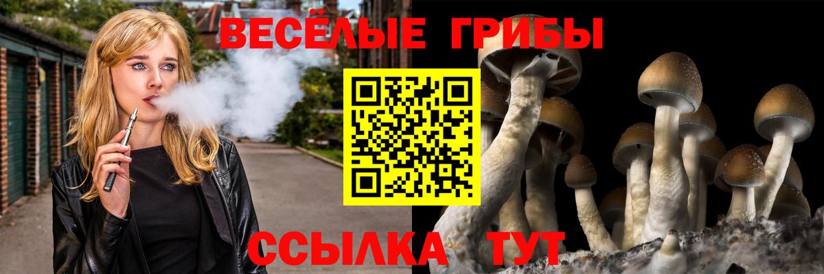 Псилоцибиновые грибы прущие грибы Алейск
