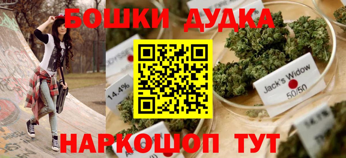 Каннабис сатива Алейск